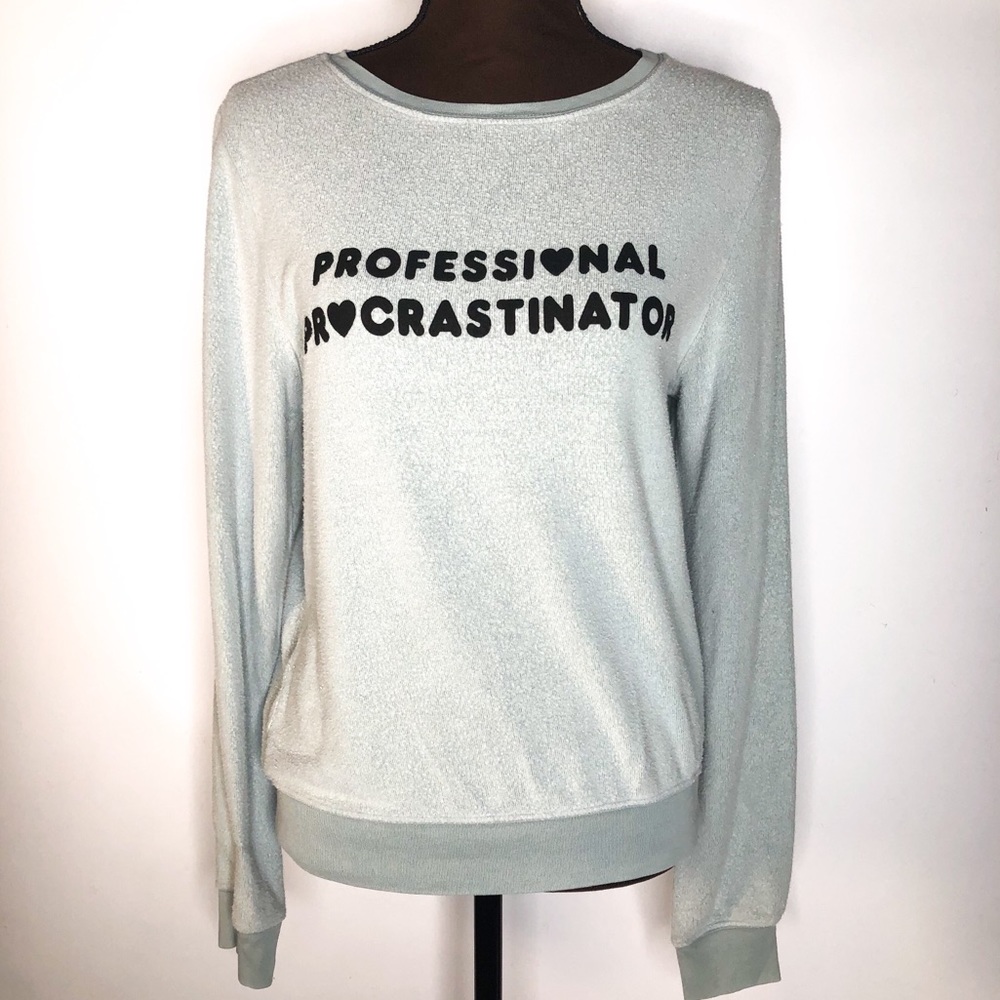 WILDFOX Professional Procrastinator Sweatshirt - Picture 2 of 5